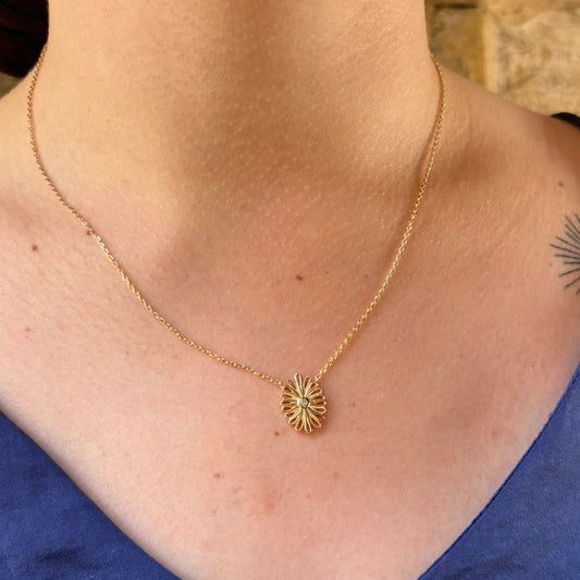 Collier Paca